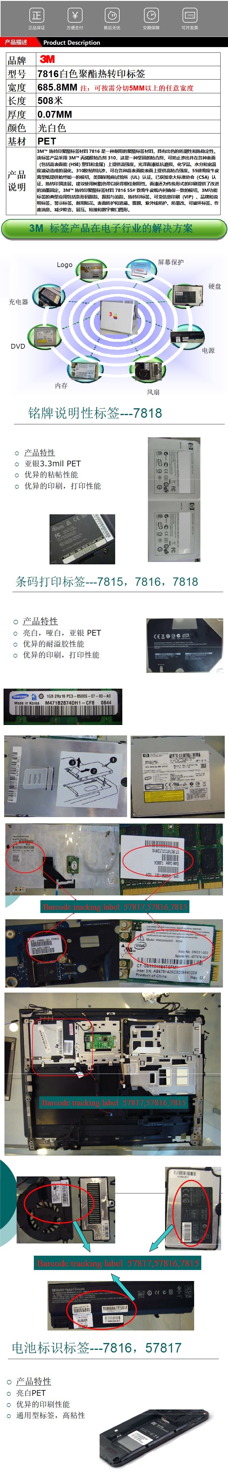 7816 666 1.jpg